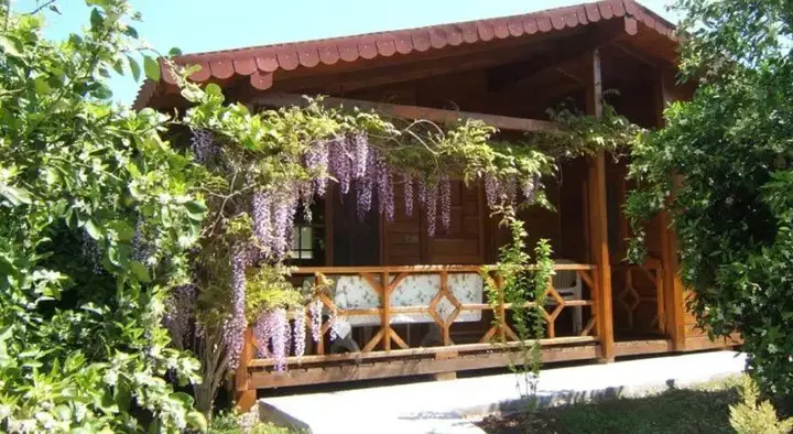 Чиралы: Windmolen Apart Bungalows
