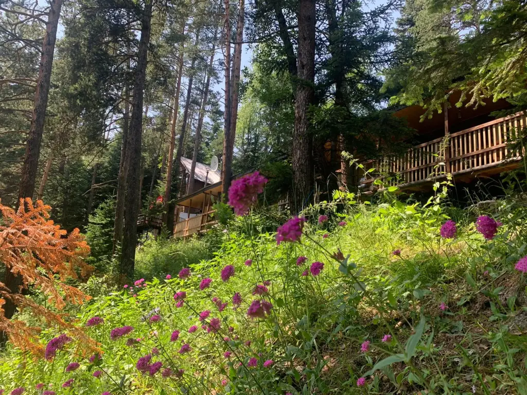 Архыз: База отдыха Solur