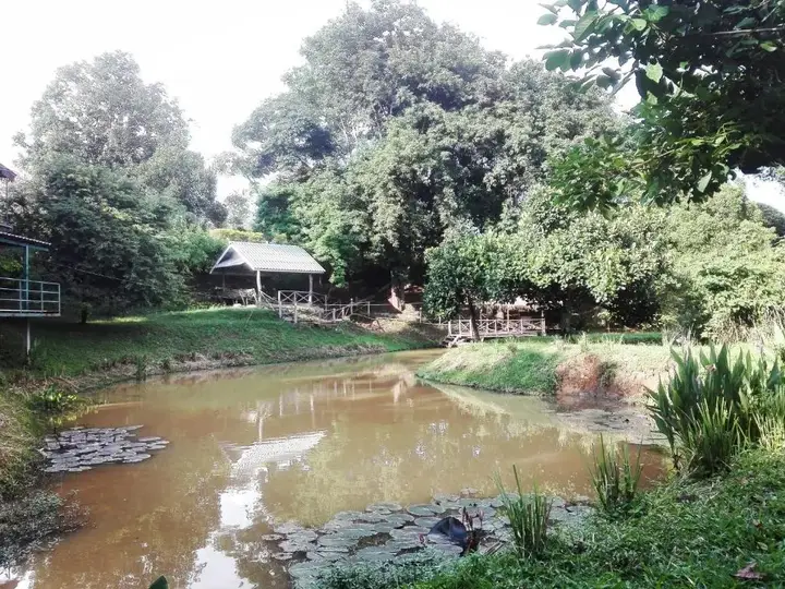 Чианг Дао: Dreamhome Chiangdao