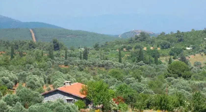 Кушадасы: Dirim Guesthouse