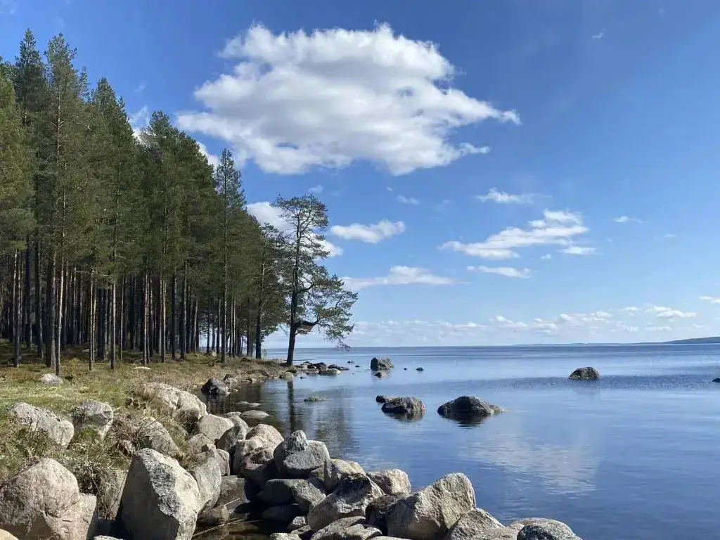 Медвежьегорск: Kareliya kottedzh Vremena goda