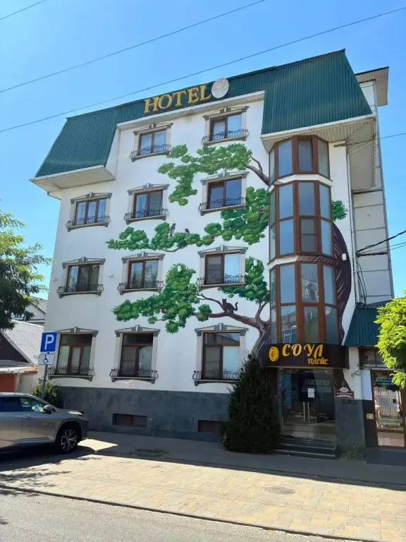 Отель Соул Плэйс — фото 1
