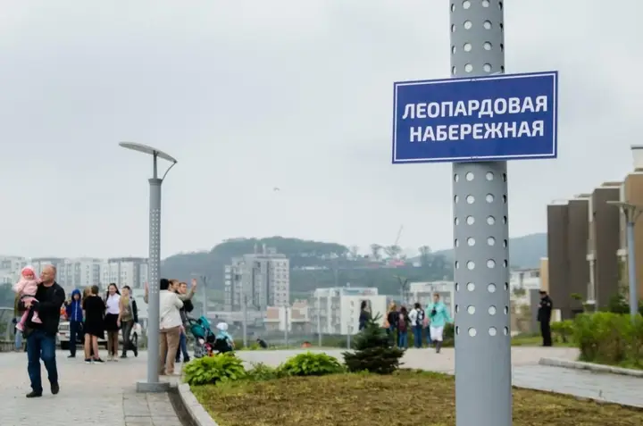 Владивосток: Апартаменты на улице Сочинская 1