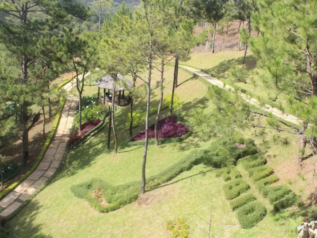 Далат: Rung Hoa Hotel