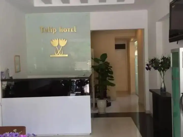 Ханой: Tulip Hotel Vu Ngoc Phan