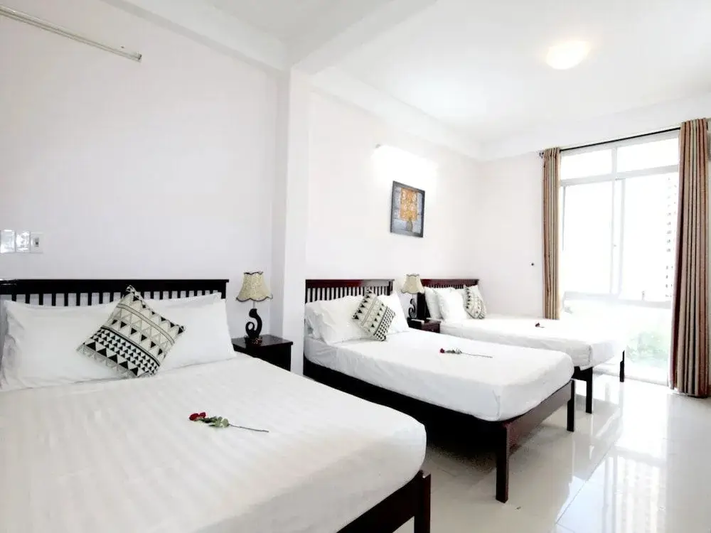 Дананг: Nguyen Hotel Danang