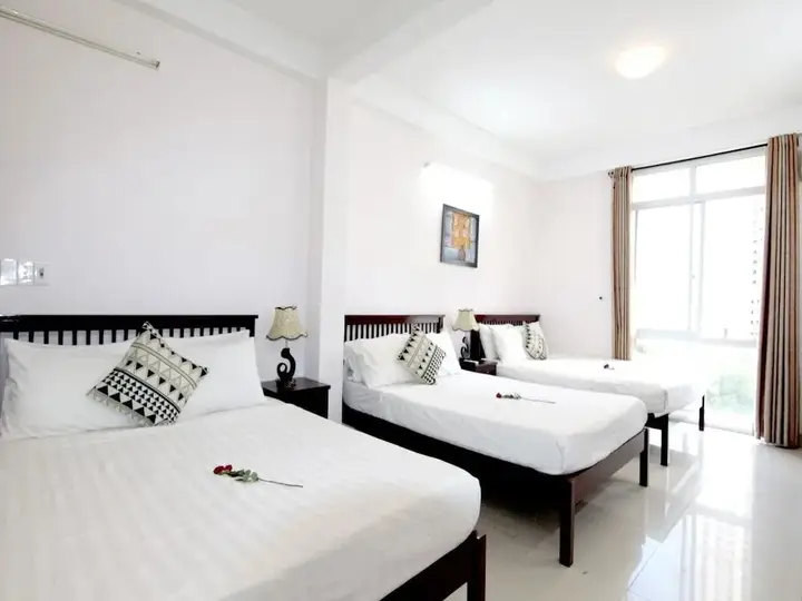 Дананг: Nguyen Hotel Danang