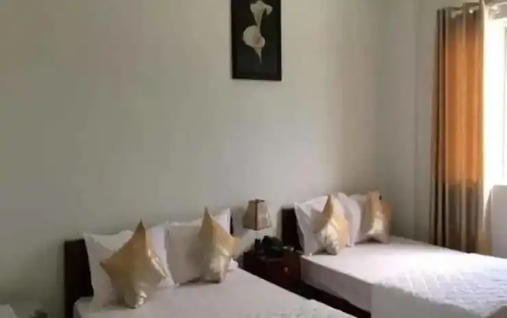 Дананг: Swan Hotel