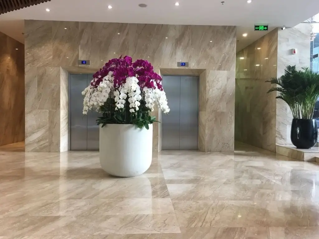 Нячанг: Star Apartment