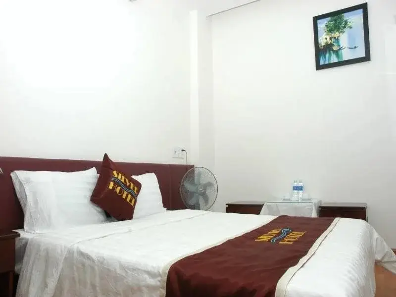 Дананг: Silver Hotel