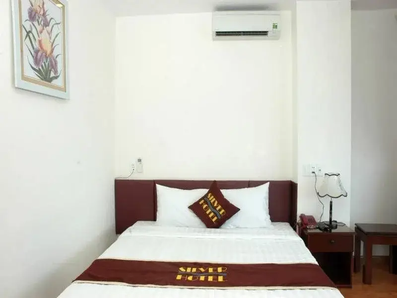 Дананг: Silver Hotel