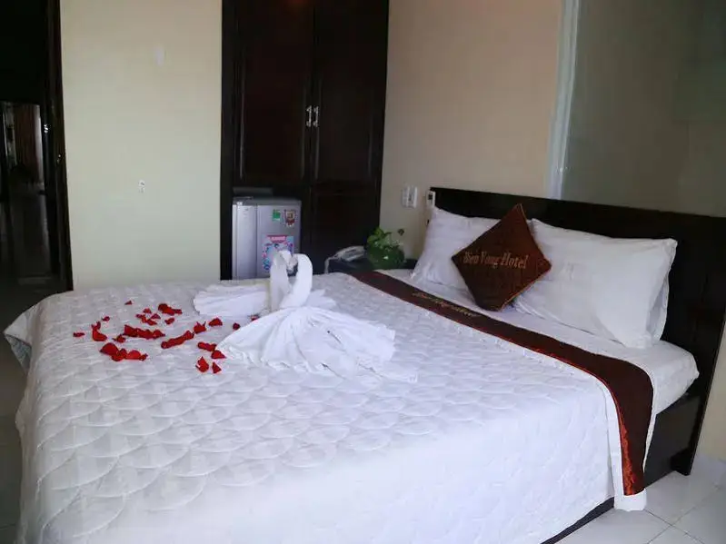 Дананг: Bien Vong Hotel
