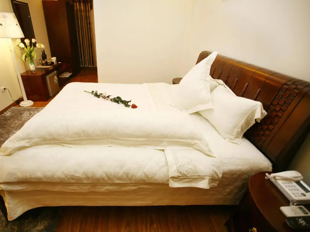 Ханой: Ritz Boutique Hotel