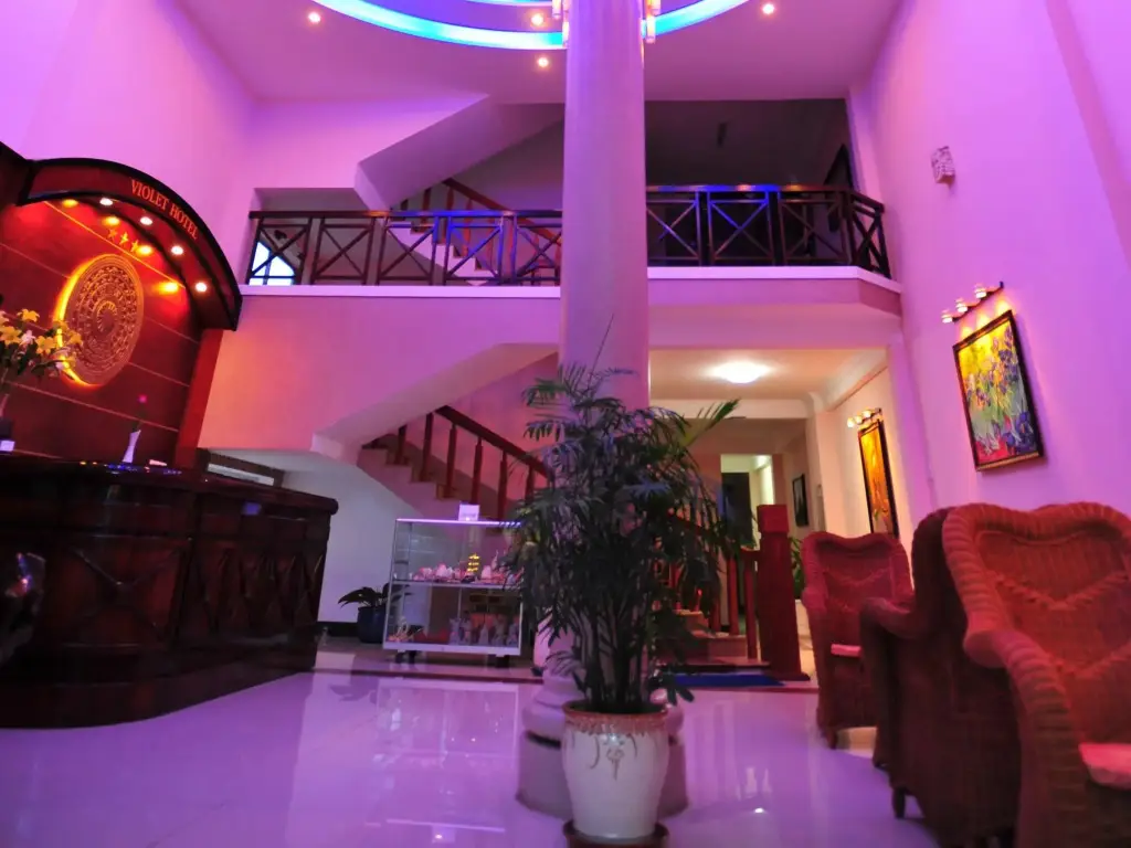 Нячанг: Violet Hotel