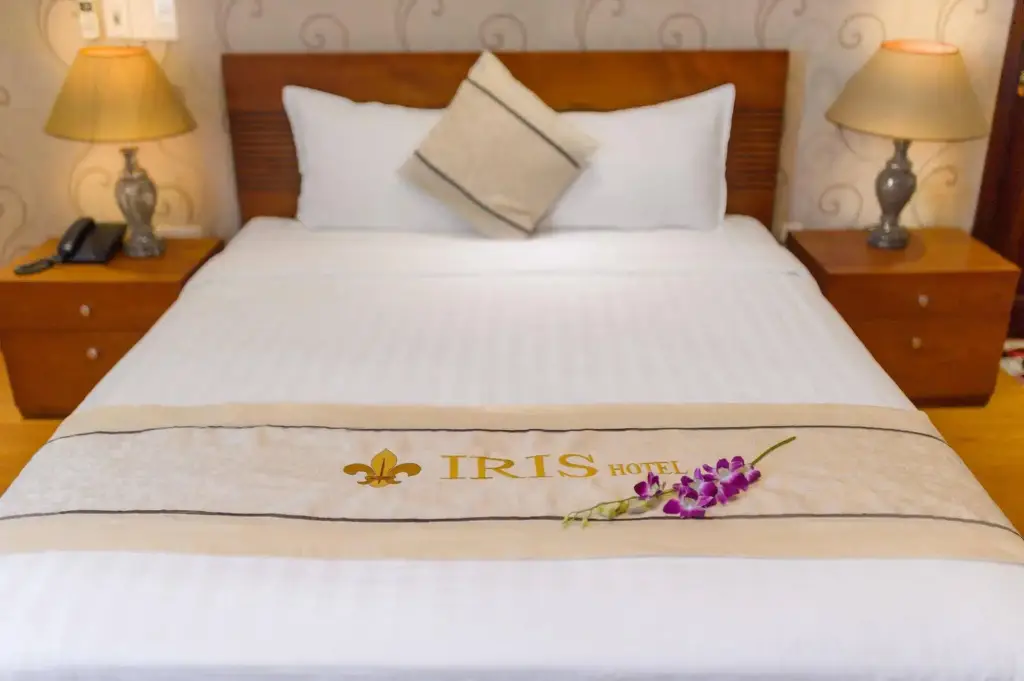 Дананг: Iris Hotel Danang
