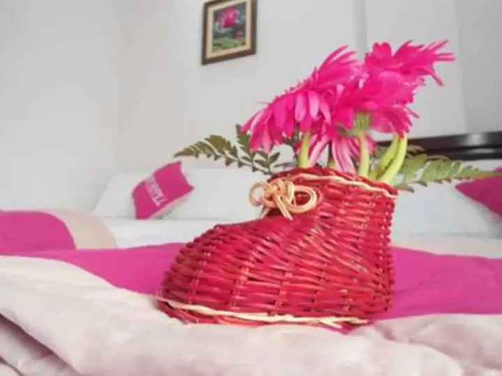 Дананг: Fulmar Hotel