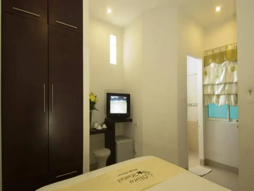 Дананг: Olina Hotel