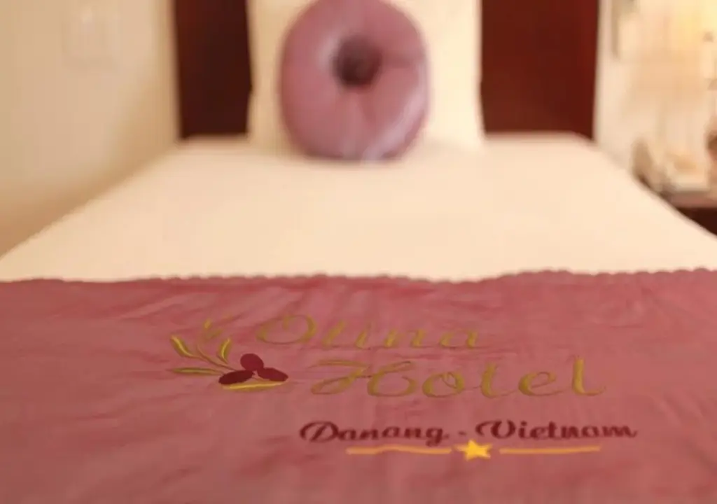 Дананг: Olina Hotel