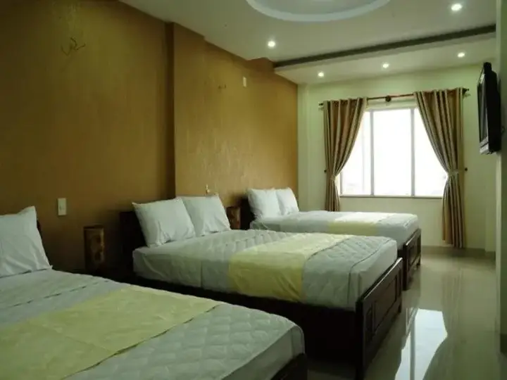 Дананг: Canh Buom Hotel