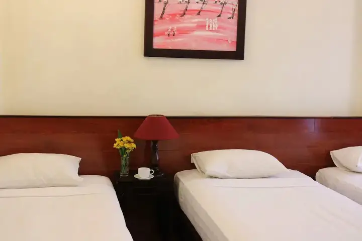 Хойан: Nhi Trung Hotel
