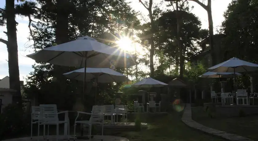 Далат: Zen Cafe Dalat - Villa