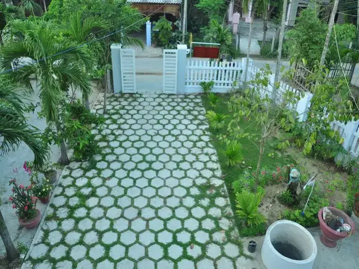 Хойан: Trau Cau Homestay