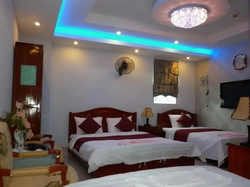 Дананг: Tuyen Son Hotel