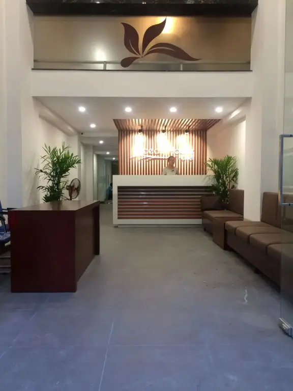 Дананг: Ocean Flower Hotel Da Nang