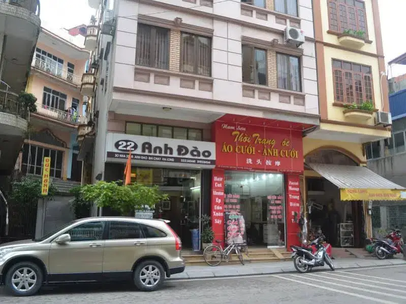 Халонг: 22 Anh Dao Hotel