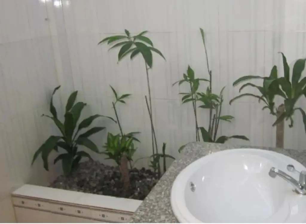 остров Фукуок: Sea Lavie Hostel