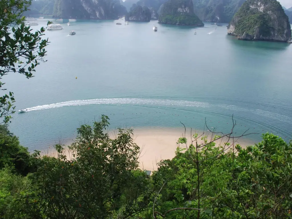 Halong Dragon Cruise — фото 1