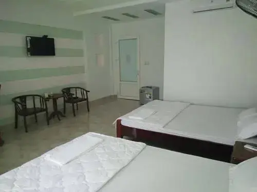 Фантхьет: Thao Linh Hotel