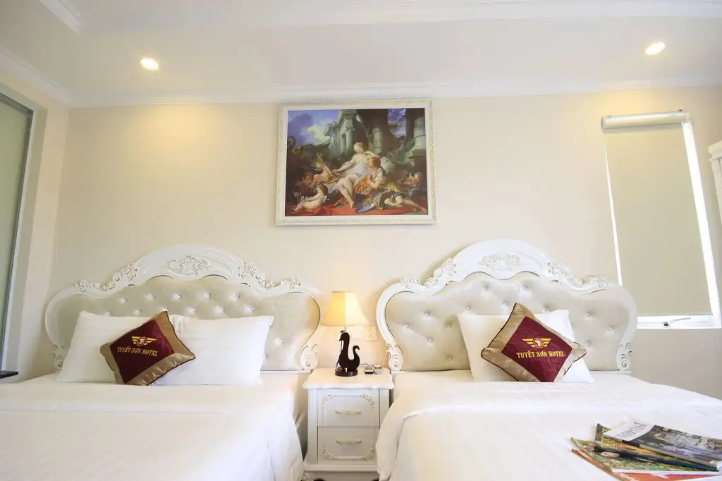 Дананг: Tuyet Son Hotel