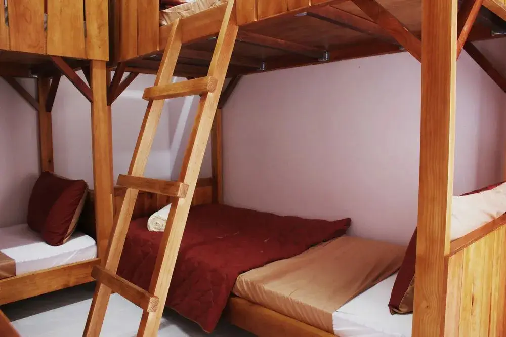 Далат: Tree House Hostel