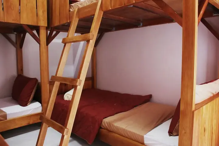 Далат: Tree House Hostel