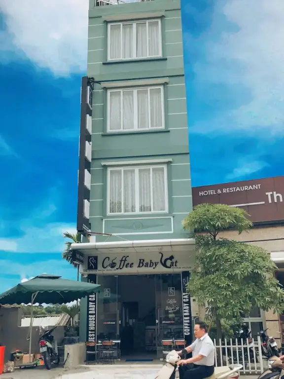 Халонг: Babycat Guesthouse & Cafe