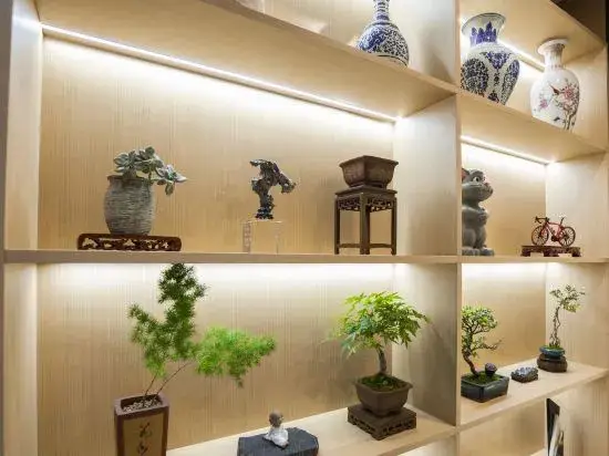 Нанкин: Qingmu Hotel (Nanjing Provincial Hospital of Traditional Chinese Medicine Xinjiekou Metro Station)