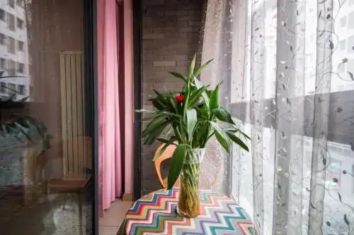 Сиань: Xi'an Mini Hostel