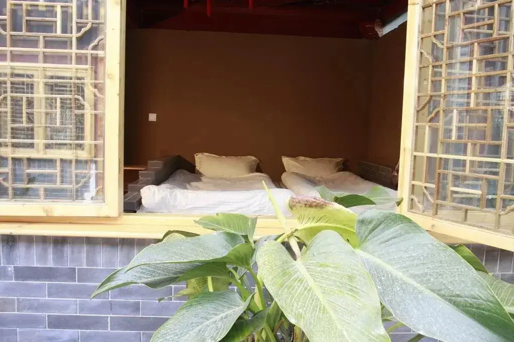 Сиань: Zhengzhidao Youth Hostel