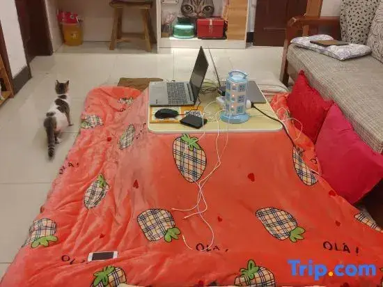 Сиань: Xixili Youth Hostel Xi'an