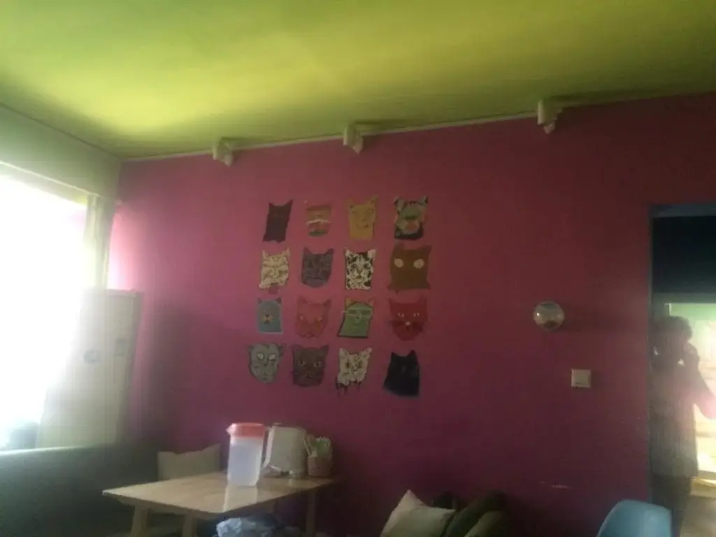Сиань: Xi'an Bear & Kid Youth Hostel Xiaozhai Museum