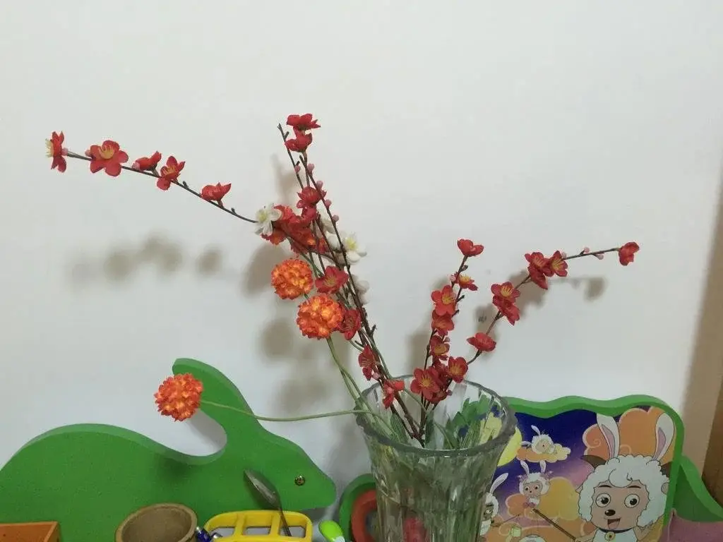 Сиань: Xi'an Traveller Younth Aparthotel
