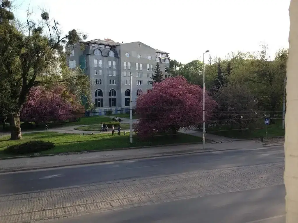 Калининград: Альфа Апартаменты