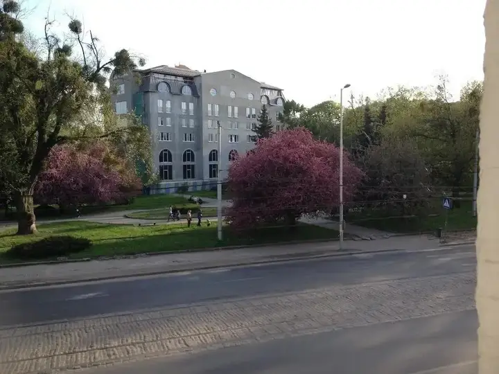 Калининград: Альфа Апартаменты