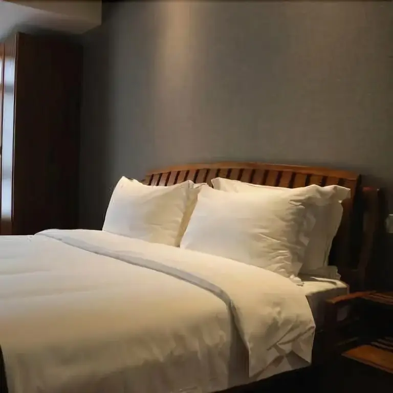 Чунцин: Langqin ruipin Hotel