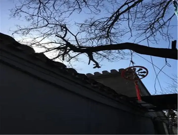 Пекин: Free Builder Courtyard Hostel