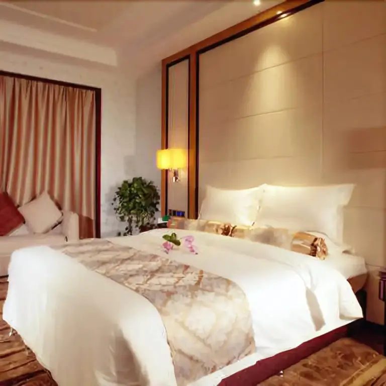 Сиань: Tangan Hotel