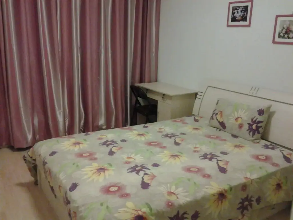 Нанкин: Nanjing Zhixuange hotel