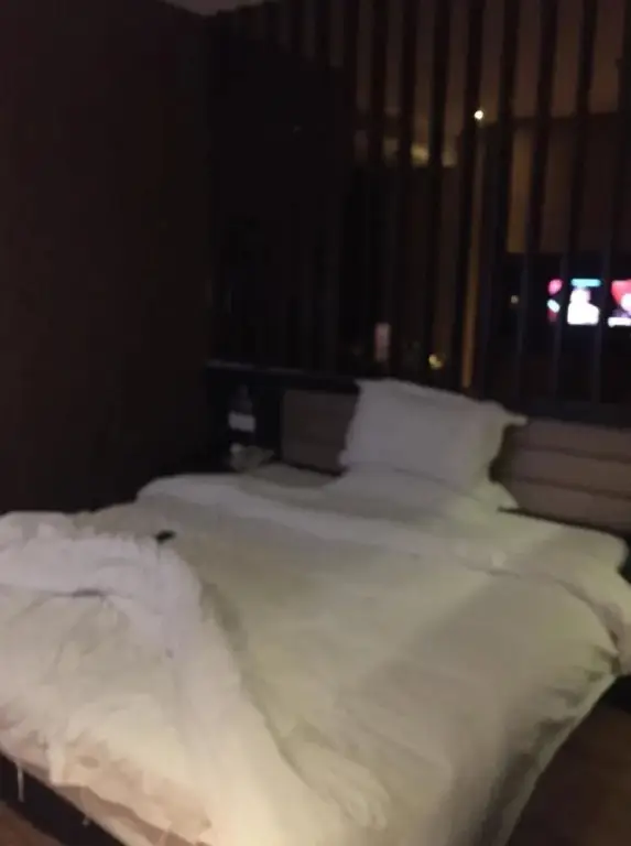 Ухань: Xinghai International Hotel