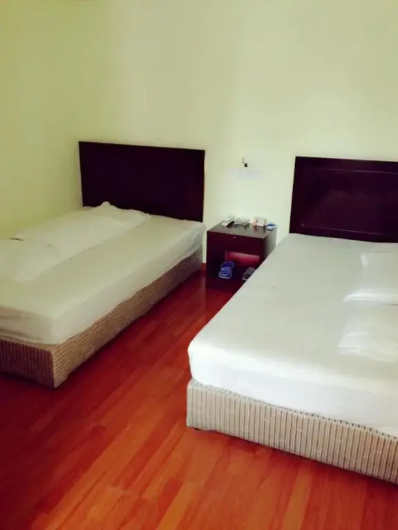 Нанкин: Longwan Hotel Nanjing South Railway Station